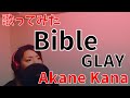 【女性が歌う】GLAY / Bible covered by 赤音 叶