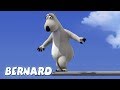 Bernard Bear Diving Board AND MORE 30 Min Compilation Cartoons For Children 