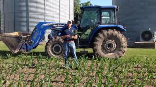 Minimizing stress during mid-season corn development. By Steve Eichenberger