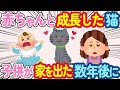 【2ch 感動スレ】子供が生まれてから一緒に成長してきた猫→子供が一人暮らしを始めた数年後に...