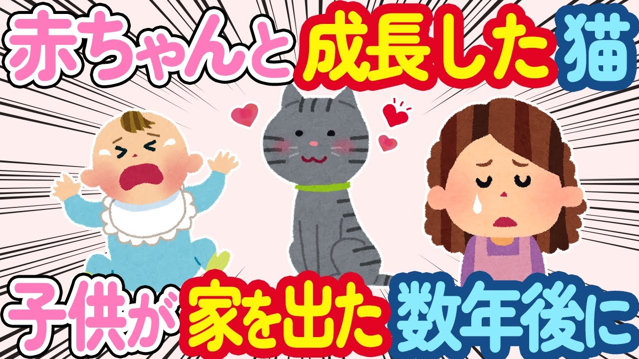 【2ch 感動スレ】子供が生まれてから一緒に成長してきた猫→子供が一人暮らしを始めた数年後に...