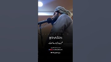 سورة الطارق 14-08
