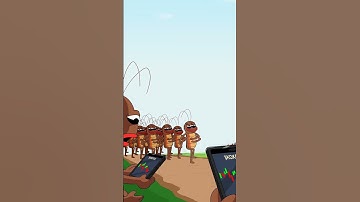 It’s not just the. $KOKOK coin  It’s the swarm!! #9FStudio #crypto #trading #memes #nft #