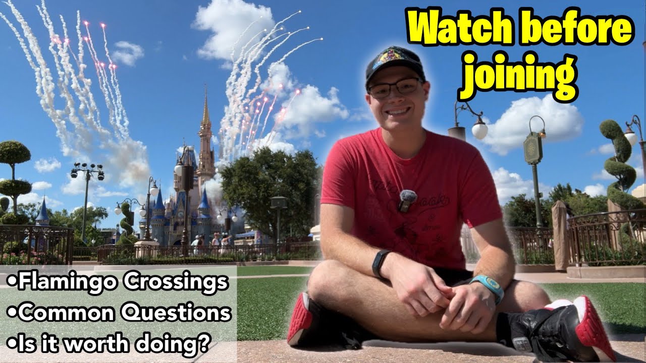 Disney College Program | Everything You Need to Know