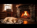 12 hours of Relaxing Dog Music for Sleep : Help Your Dog Drift Off to Dreamland with Gentle Sounds 💤
