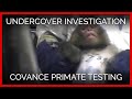 Covance—Undercover Investigation in Virginia