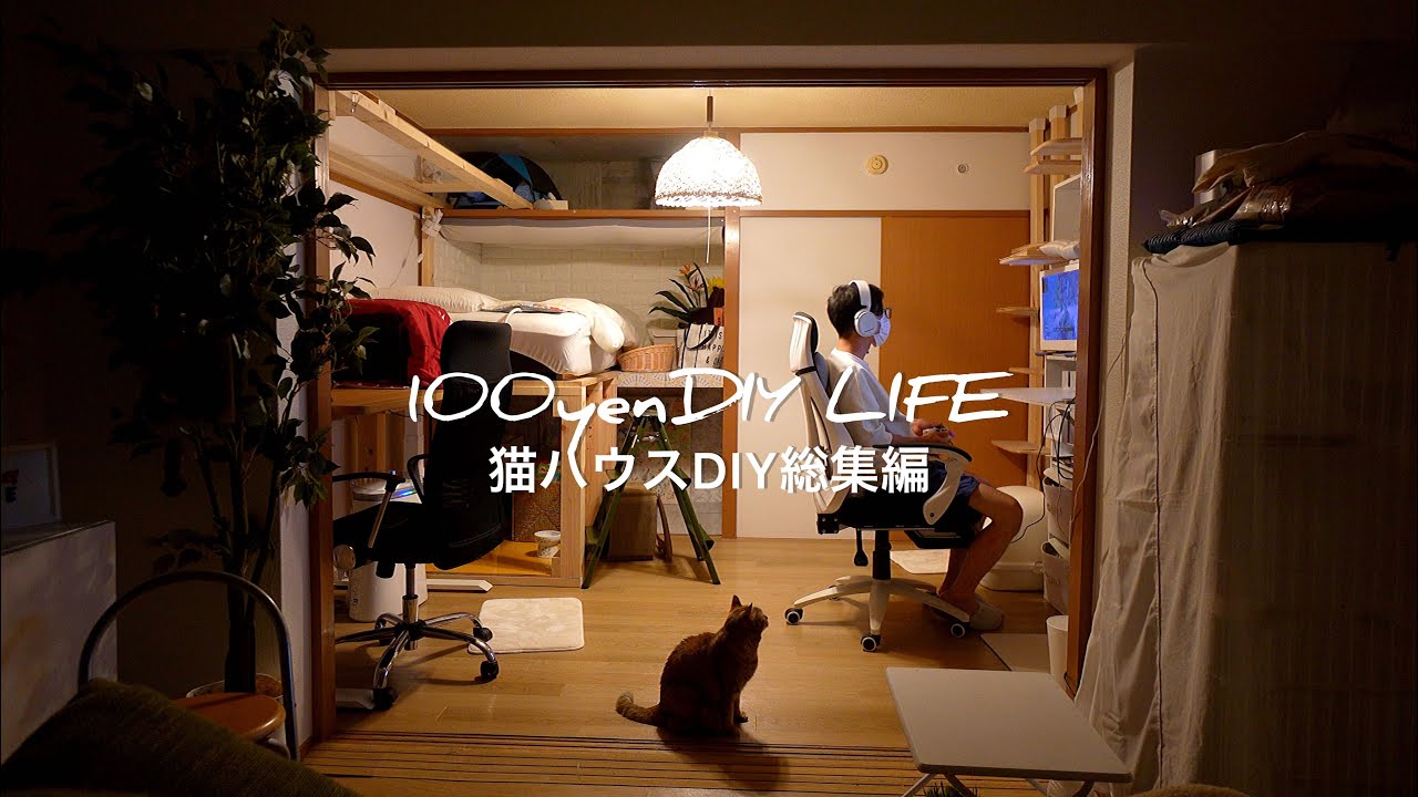 賃貸diy ３ldk猫ハウスをdiy 1日の総集編 離婚おじさんと猫の劇的ビフォーアフター Youtube