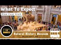 Natural history museum  full tour  washington dc  smithsonian 4k