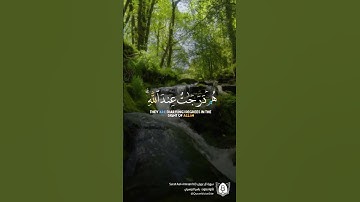 #تلاوة من #سورة_آل_عمران بصوت #ياسر_الدوسري  #قرآن #قرآن_كريم #آيات #استغفرالله #الحمدلله #quran
