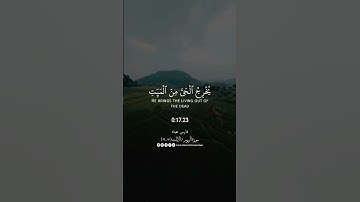 فسبحان الله حين تمسون وحين تصبحون.. 💎🎧#تلاوات #صباح_الخير #قرآن