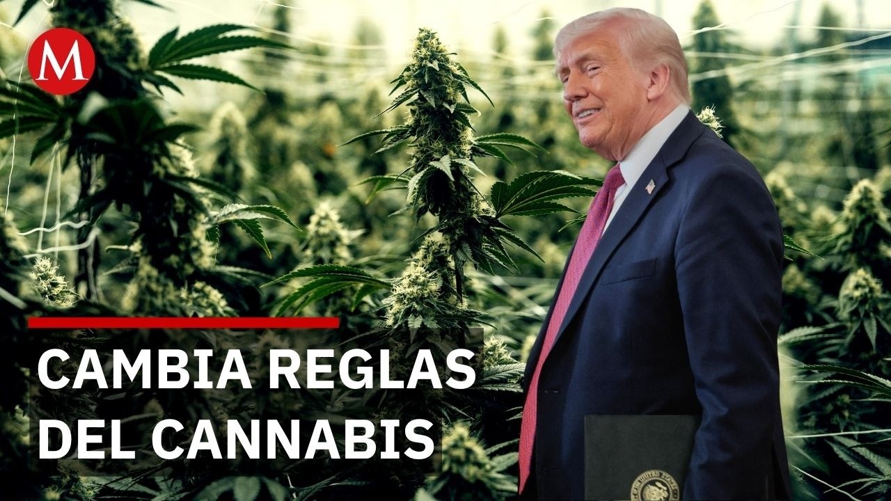 Trump reclasifica la mariguana como droga menos peligrosa en EU
