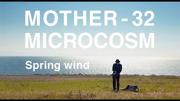 Moog Mother-32 with Hologram Microcosm | Spring wind