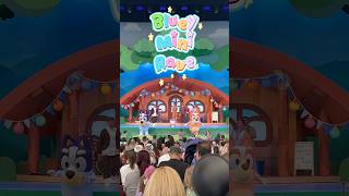 Bluey Best Day Ever! Fantasyland at Disneyland Park Chattermax #short #disneyland #bluey #blueybingo