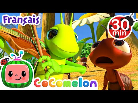 La cigale et la fourmi | CoComelon en Français | Chansons pour bébés