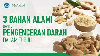 3 Bahan Alami Pengencer Darah Dalam Tubuh | Obat Alami