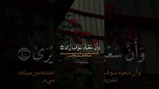 Сура Ан-Наджм Аяты 39-41 #قرآن #коран #quran سوره النجم الايات 39-41 #قران_كريم #quranrecitation