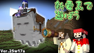 【Minecraft】ハッピーな新要素に触れてみよう！【スナップショット版】