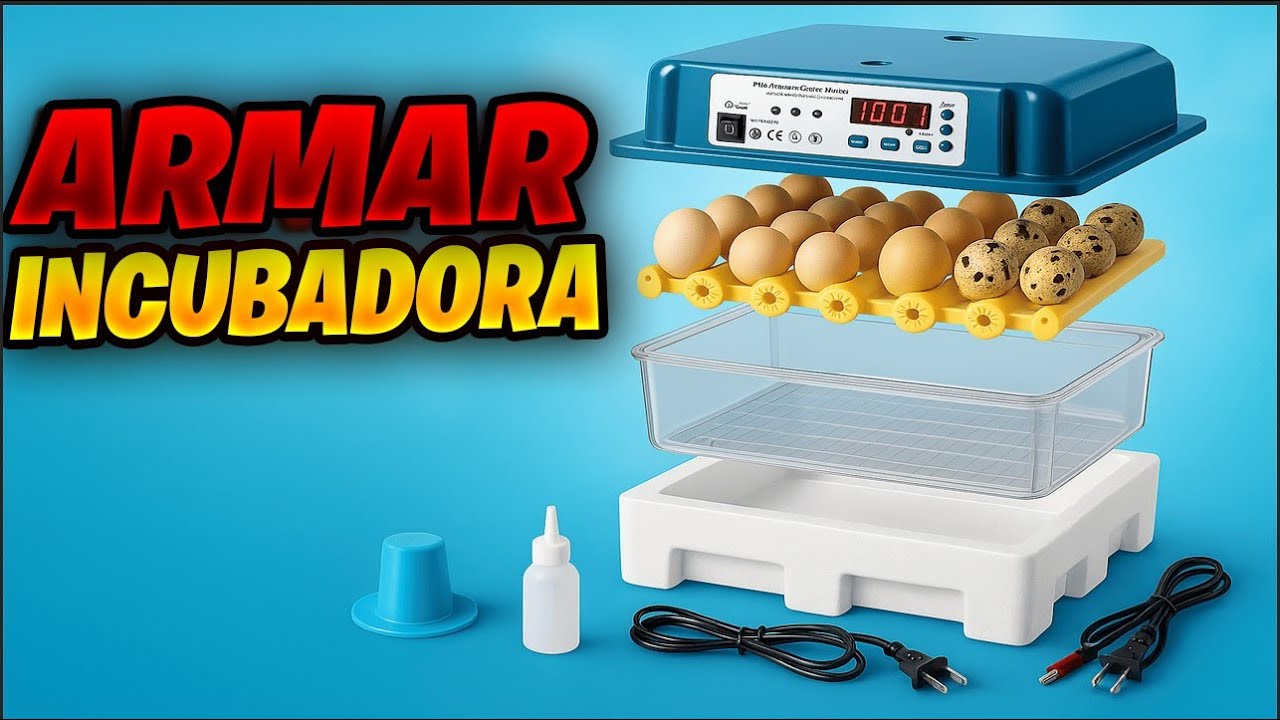 Como Armar Incubadora automática de 36 Huevos  de Temu
