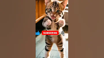 غيث قلبى يا ناس غيث غيث غيث 