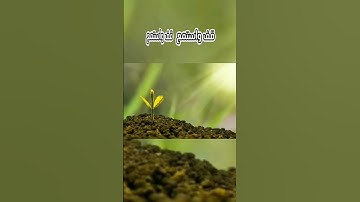 سوره الكهف #قران_كريم #اذكرو_الله #اذكار جمعه مباركه #سورة_الكهف