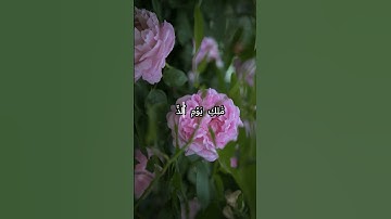 سورة الفاتحة | الشيخ مشاري بن راشد العفاسي |🖤💛🖤🎧