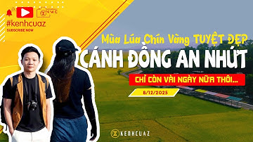 TUYỆT ĐẸP Cánh Đồng Lúa An Nhứt Vào Mùa Gặt Cuối Năm 2025!!! #dulich #travel #bariavungtau