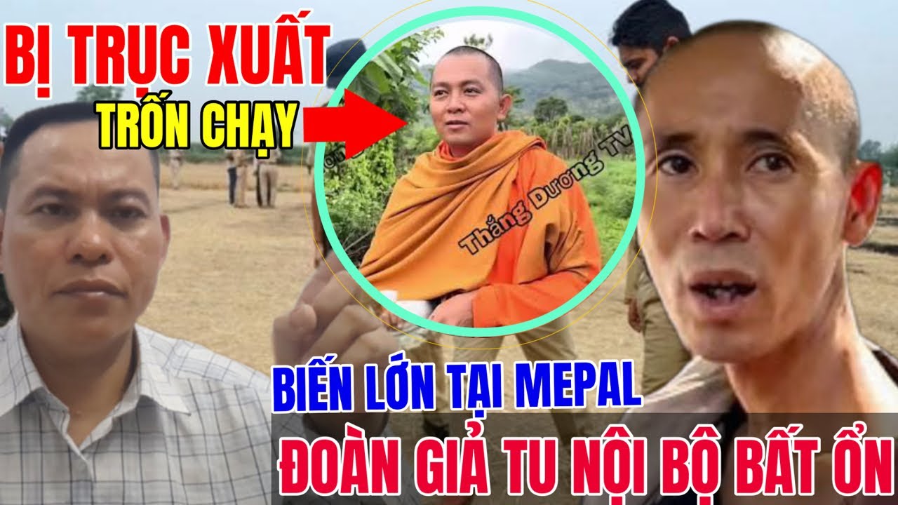 Đoàn Giả Tu Minh Tuệ Toang Thật Rồi....!