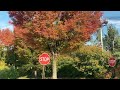 Route 10 | Fall color |  Randolph , Ledgewood , Morris Plains | NJ