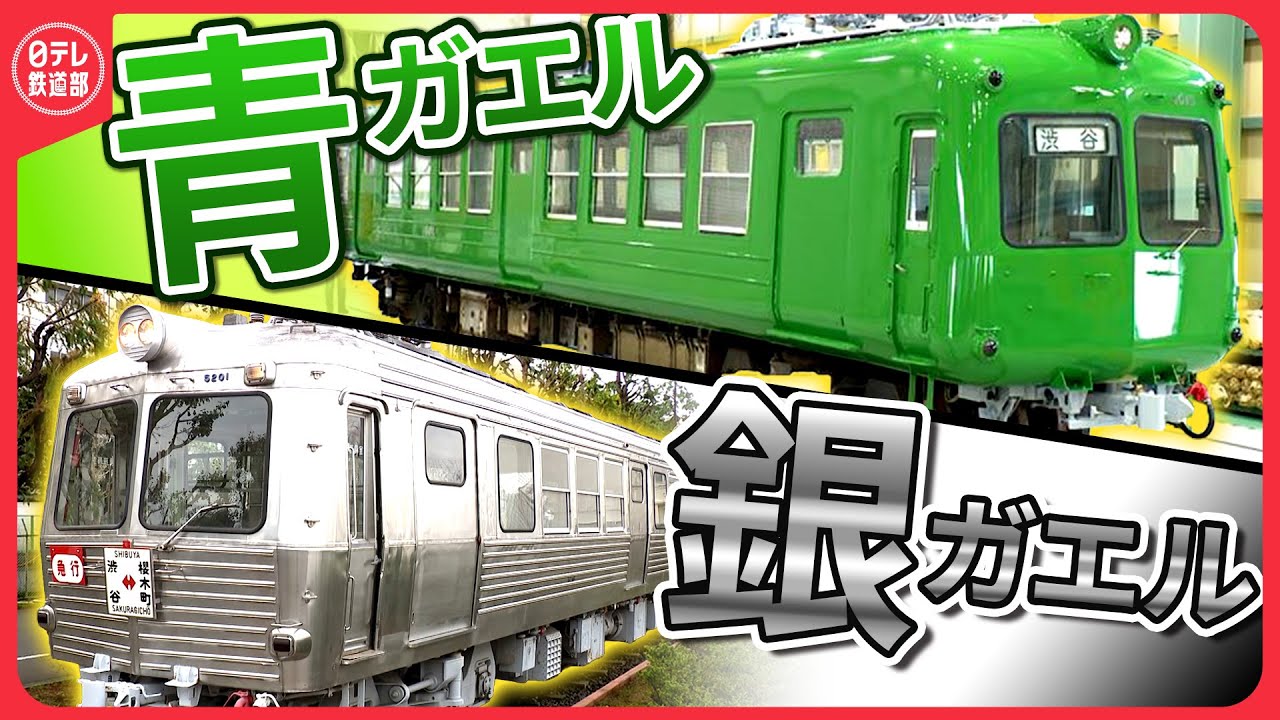 【青ガエル・銀ガエル】昭和時代に東急電鉄で活躍「青ガエル」復元　5000系の後輩となる「銀ガエル」の姿も〔日テレ鉄道部〕