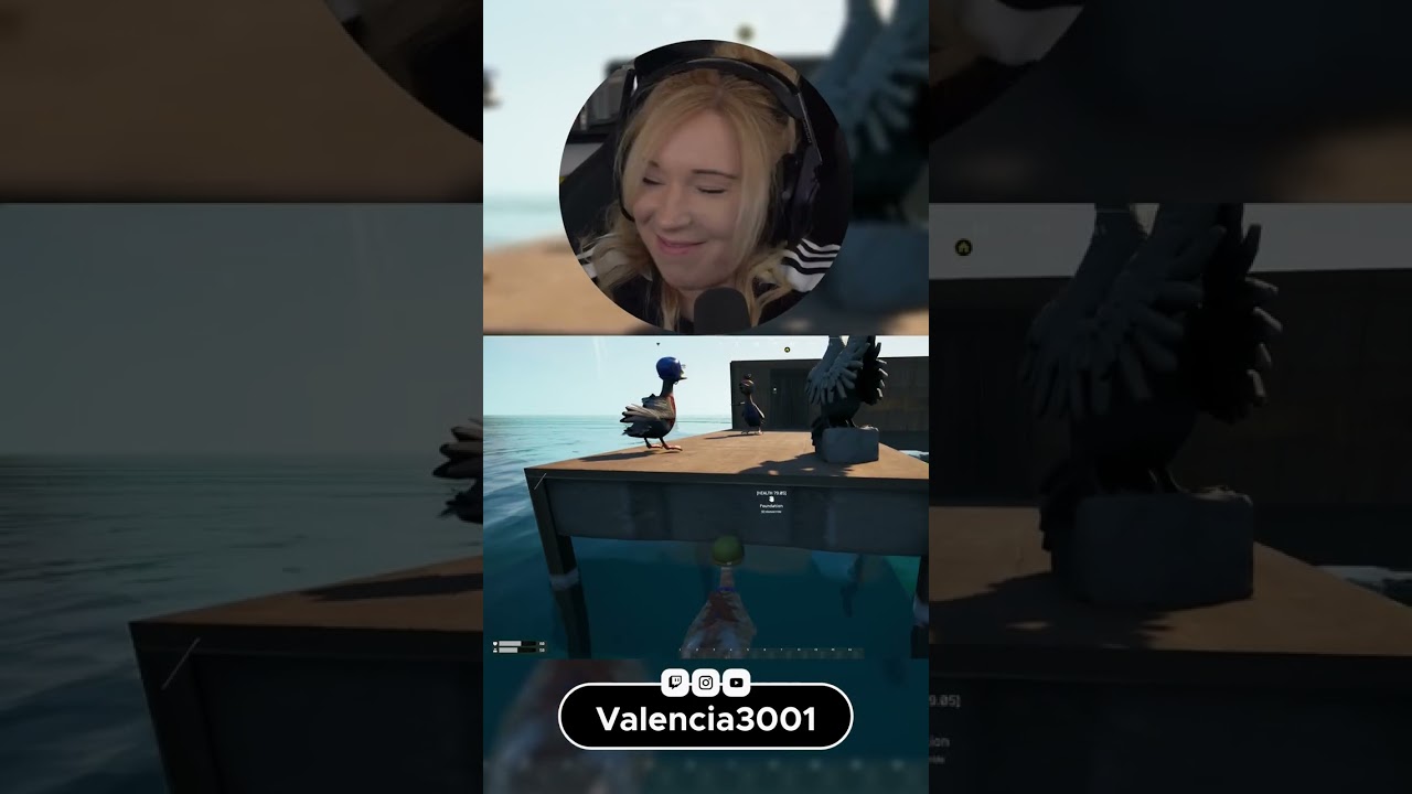 Sturzflug in DUCKSIDE