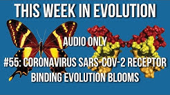 TWiEVO 57: SARS-CoV-2 receptor binding evolution blooms