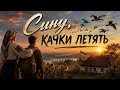 Сину качки летять Живозвук UA 