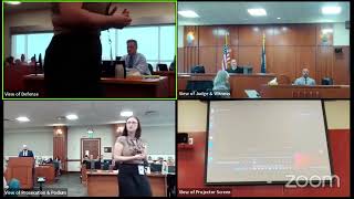 Ray Hermosillo & That Dreadful Jail House Call Between Chad Daybell & Lori Vallow on 6/8/2020