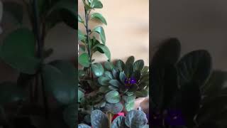 Bi̇r Dostumla Resimi