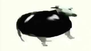 Корова Танцует Под Польскую Музыку