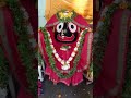 Odia Jagannath Bhajan Status Full Screen|| Jagannath Status||Jagannath Bhajan WhatsApp Status#shorts