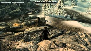 Animation Problem in Skyrim