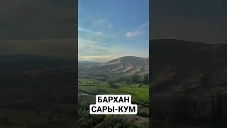 Бархан Сары-Кум. Дагестан