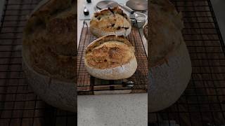 Como hacer pan de aceitunas y normal #olivesourdoughbread#pandemasamadredeaceitunasnegras