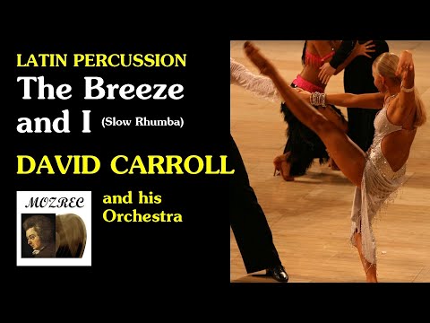 ルンバ & チャチャチャ【ラテン音楽】Latin Percussion/David Carroll