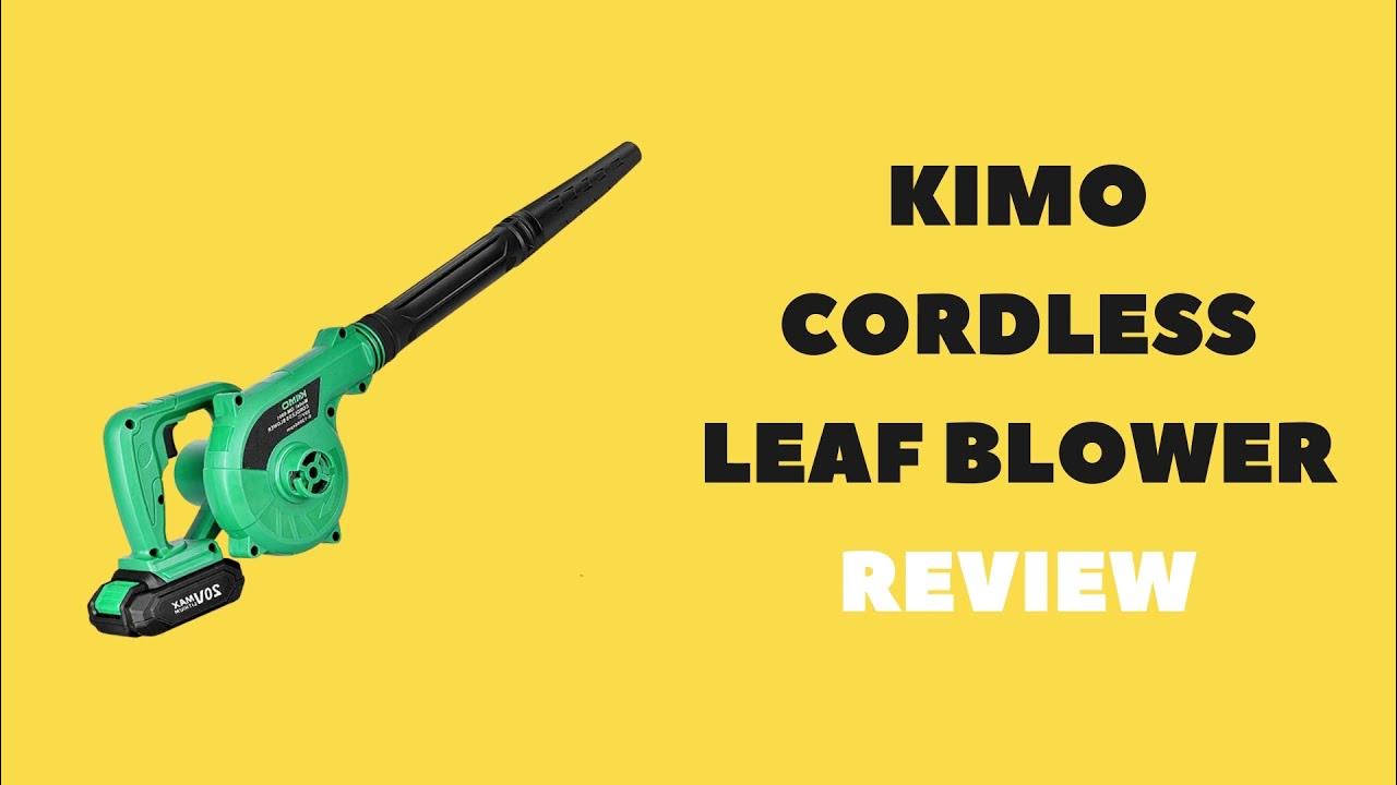 Small & Powerful Cordless Leaf Blower Review 