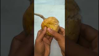 Annona reticulata/Very sweet fruit#shorts