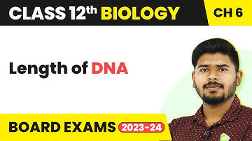 Class 12 Biology Chapter 6 | Length of DNA - Molecular Basis of Inheritance (2022-23)