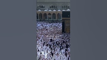 سورة الحشر ١٩-٢٠ | ياسر الدوسري | ولا تكونوا كالذين نسوا الله فأنساهم انفسهم #لايك #ترند  #قرآن
