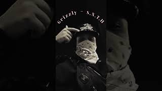 Grizzly - S.N.T.H (Audio Oficial)