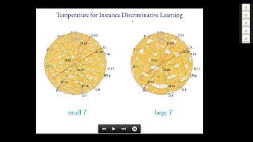 Representation Learning beyond Instance Discrimination and Semantic Categorization - Stella Yu