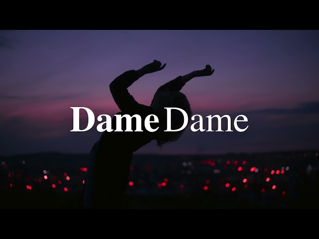 Dame Dame - This Is What You Came For