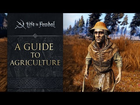 Get Growing - The Farmer's Guide to Life is Feudal: MMO