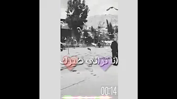 عمرك سمعت بطير يحب سجانه ان شافك انتا نسى 