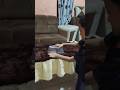 kalian bisa coba dirumah yaa #funny #memes #videolucuterbaru #lucu #tutorial #shorts #ikanhias